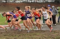 2010NCSXC GD1-1248